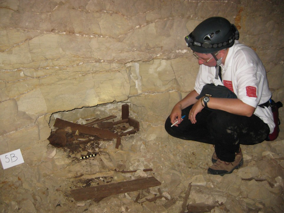 Восемь миллионов мертвых собак найдены в египетских катакомбах