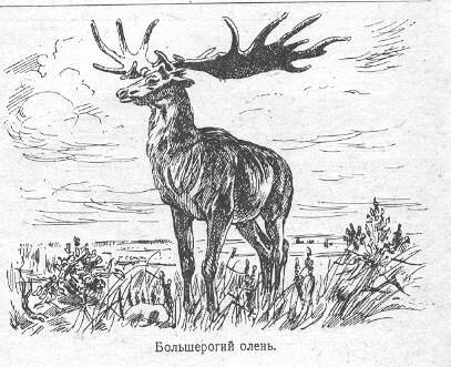 Четвертичный период