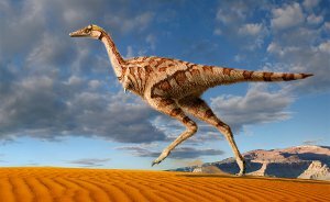 Linhenykus monodactylus - однопалый динозавр из Китая Linhenykus monodactylus - однопалый динозавр из Китая