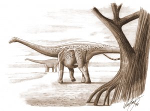     - Magyarosaurus dacus   