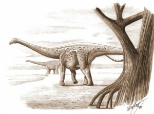 Палеонтологи еще раз подвердили - Magyarosaurus dacus был карликовым динозавром Палеонтологи еще раз подвердили - Magyarosaurus dacus был карликовым динозавром