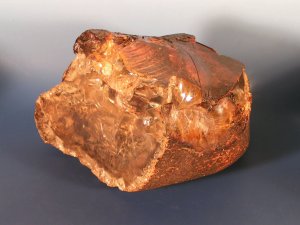 В Африке нашли янтарь, образовавшийся в середине мелового периода