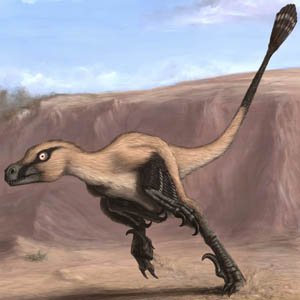  ,   - Linheraptor exquisitus