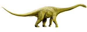 В Австралии найден скелет динозавра