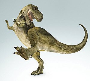 Tyrannosaurus rex    