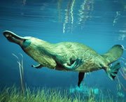Млекопитающие успешно развивались задолго до гибели динозавров