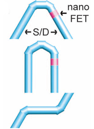        . S(source) , D(drain) , nanoFET (nano field-effect transistor)  .     Science