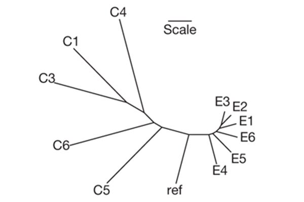              (ref)     C E. ,  C      ,    ,  E. .    Nature