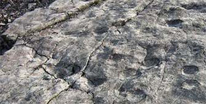 Так выглядит каменная поверхность со следами. Фото с сайта news.nationalgeographic.com