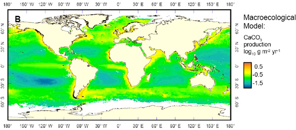 Распределение образования карбонатов рыбами (в lg г/м2/год) по акватории океана, согласно «макроэкологической модели». Рис. из дополнительных материалов к обсуждаемой статье в Science