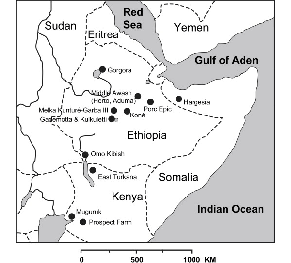 На этой карте точками обозначены основные местонахождения среднепалеолитических каменных орудий в Восточной Африке. Многие из этих находок очень похожи на орудия из района реки Омо («Omo Kibish»), а некоторые имеют не менее почтенный возраст (возможно, до 230 тыс. лет). Рис. из статьи J. J. Shea