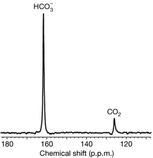 - 13  .      ,    HCO3  CO2.       pH .     Nature