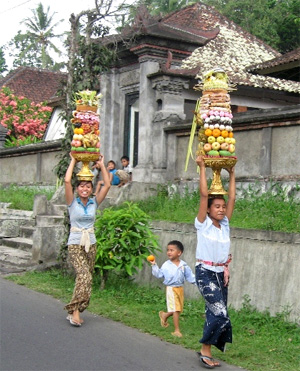 Фрукты предназначены для подношения богам. Подавляющая часть коренных жителей Бали исповедует индуизм. (Фото Михаила Гитарского, воспроизводится на «Элементах» с его любезного разрешения)