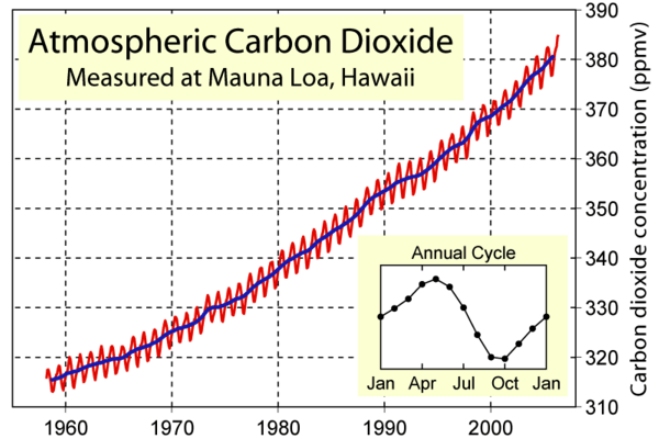 Рис. 1. Изменение содержания СО2 в атмосфере с 1958-го по 2006 год, по данным обсерватории Мауна-Лоа на Гавайях. На фоне основного тренда (неуклонного роста концентрации СО2) хорошо видны повторяющиеся каждый год сезонные колебания, связанные с фотосинтезом наземной растительности. Типичный годовой цикл см. на врезке. Рис. с сайта www.globalwarmingart.com