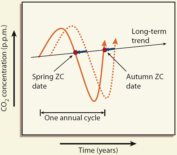Рис. 2. Сезонные колебания содержания СО2 в атмосфере, наложенные на линию многолетнего тренда (изменение во времени слева направо). Показан один годовой цикл. За последнее десятилетие вся кривая сместилась влево: фотосинтез начинает преобладать над дыханием всё раньше и раньше («весеннее пересечение нулевой отметки» — Spring ZC date). Удивительно, что дата, соответствующая «осеннему пересечению нулевой отметки» (Autumn zero crossing date), также сместилась на более ранние сроки. В теплые дни осени дыхание возрастает особенно интенсивно и это сводит на нет результаты активного фотосинтеза весной. Рис. из статьи: Miller J.B. Carbon cycle: Sources, sinks and seasons // Nature. 2008. V. 451. P. 26–27