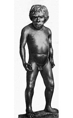Неандертальский мальчик из грота Тешик-Таш. Реконструкция М. М. Герасимова. Фото с сайта upload.wikimedia.org