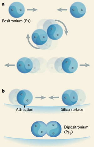Два атома позитрония (состоящие из электрона и позитрона), столкнувшись, из-за избытка энергии вновь разлетаются, не образуя молекулы (рис. a). Поверхность кварцевой пленки поглощает лишнюю энергию, позволяя двум атомам позитрония объединиться — хоть и на мгновение (рис. b). Изображение из статьи Clifford M. Surko. Atomic physics: A whiff of antimatter soup (Nature. V. 449. P. 153–155)