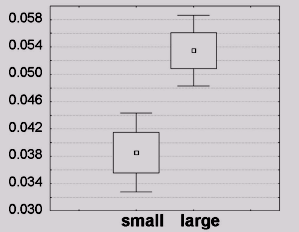 Накопление слабовредных мутаций (по величине отношения несинонимичных замен к синонимичным) у крупных (large) млекопитающих происходит более интенсивно, чем у мелких (small). Маленький квадратик — это средняя величина для каждой группы (по 55 видов в каждой группе). Большие прямоугольники вокруг — пределы, задаваемые одним стандартным отклонением (±1 SE), «усы» — доверительные интервалы на уровне 0,95 (рис. из обсуждаемой статьи в PNAS)