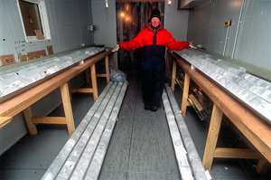 В этих кернах льда хранится ценная информация о нескольких тысячах лет климатических данных. На таких глубинах в одном метре льда может содержаться информация о 500 годах (фото с сайта www.gdargaud.net)