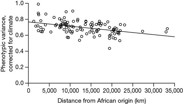Чем дальше от Африки, от наиболее вероятной области происхождения современного человека, находится та или иная локальная популяция (удаление показано по оси абсцисс), тем ниже коэффициент изменчивости размеров черепа (по оси ординат). В данном случае использован обобщенный показатель изменчивости, суммирующий результаты разных промеров, но сходные графики получены и для отдельных размеров. Данные по изменчивости черепа скорректированы так, чтобы на них не сказывалась зависимость от климата. Рисунок из обсуждаемой статьи в Nature