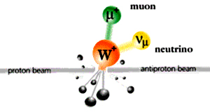 Схематическое изображение реакции рождения и распада W-бозона в столкновении протонов на протонном коллайдере Тэватрон. Из распределения импульсов рожденных частиц можно получить массу W-бозона (изображение с сайта fcdfwww.fnal.gov)