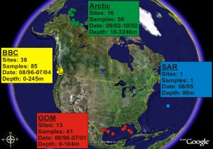 Точки, где были взяты пробы для вирусологического метагеномного анализа. В прямоугольниках указаны районы — Арктика, Саргассово море (SAR), Мексиканский залив (GOM), Британская Колумбия (BBC), а также число точек и проб, даты и глубины. Рис. из обсуждаемой статьи в PLoS Biology