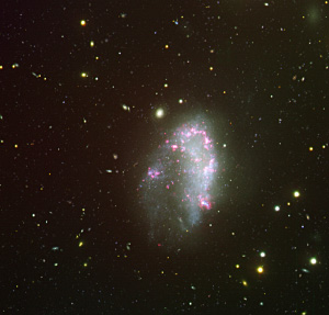   NGC1427A    (   www.eso.org)