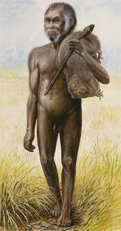           , ,  .   Homo floresiensis        (   img.slate.com)