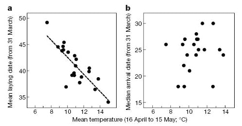     (a)    (b)       .        31 (  : Both C., Visser M.E. Adjustment to climate change is constrained by arrival date in a long-distance migrant bird// Nature. 2001. V.411. P.296-298)