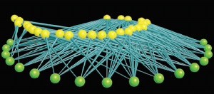 Модель, показывающая сеть ассиметричных связей между животными (желтые шарики) и растениями (зеленые шарики). Рис. из статьи: J. N. Thompson. Science. 2006. V. 312. P. 372-373
