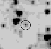 Аномальный рентгеновский пульсар 4U 0142+61 на длине волны 4,5 микрона (по данным космической обсерватории «Спитцер»). Положение нейтронной звезды отмечено кружком (изображение из статьи Z.Wang et al., astro-ph/0604076)