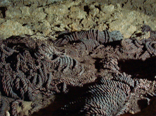 В пещерах, входы в которые были засыпаны песком, сохранились корабельные канаты возрастом около 4 тыс. лет  (фото с сайта www.livescience.com)