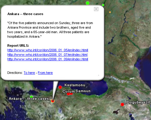 Вспышки птичьего гриппа в Турции в начале 2006 года