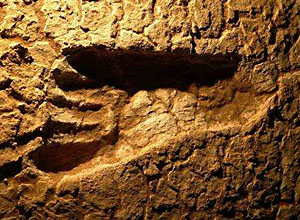Один из множества человеческих следов эпохи плейстоцена, обнаруженных в районе озер Вилландра в Австралии (фото: REUTERS/Michael Amendolia)