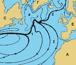 Океанические течения в Северной Атлантике: 1 — Гольфстрим, 2 — Норвежское течение, 3 — северный субтропический круговорот, 4 — североатлантический круговорот (А — Африка, Е — Европа, Г — Гренландия, С — Северная Америка)