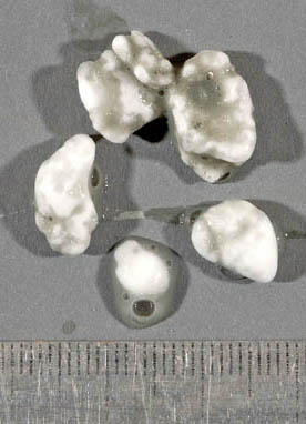 Будучи подняты на поверхность, кристаллы метангидрата теряют стабильность и быстро тают. Пузыри образованы метаном, который при этом выделяется в газообразной форме (фото с сайта iodp.tamu.edu)