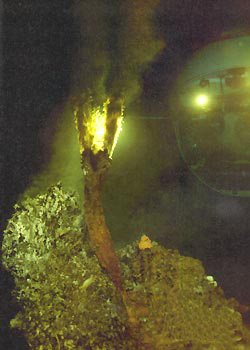 «Черный курильщик» в восточной части Тихого океана на глубине 2460 метров (фото с сайта www.vokrugsveta.ru)