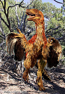   (deinonychus).    www.dinosaur-museum.org