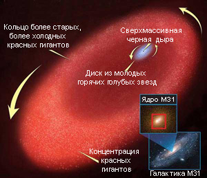 На этом рисунке хорошо видно голубое кольцо, окружающее сверхмассивную черную дыру, лежащую в центре Туманности Андромеды. Кольцо юных звезд, в свою очередь, окружено эллиптическим диском, состоящим из красных гигантов (изображение с сайта www.newscientistspace.com)