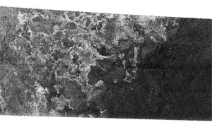 На этом снимке, сделанном с помощью радара с синтетической апертурой (SAR), хорошо видна сравнительно яркая «суша», извилистые берега которой омываются черным «морем» (фото с сайта www.newscientistspace.com)