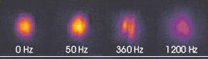 Профиль бозе-конденсата в случайном потенциале при различном уровне шумов (изображение с сайта arxiv.org)