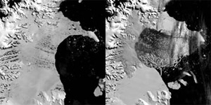 В период с 31 января (слева) по 5 марта (справа) 2002 года от шельфого ледника Ларсен Б откололся кусок размером с штат Род-Айленд (фото с сайта www.siu.edu)