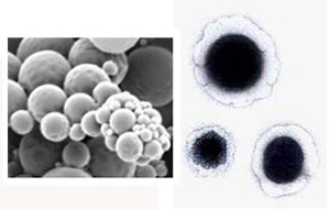 Наночастицы, начиненные препаратом для химиотерапии (слева), формируют ядро наноклетки (справа). Фото с сайта web.mit.edu