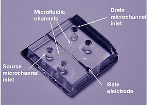 «Наножидкостный» транзистор слишком мал, чтобы его увидеть невооруженным взглядом (изображение с сайта www.berkeley.edu)