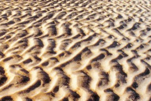Песчаные волны могут обладать периодичностью не только в одном измерении (изображение с сайта waterbouw.tudelft.nl)