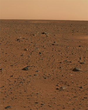 Может быть, под одним из этих камней притаился опасный марсианский микроорганизм? (изображение с сайта www.1freewallpaper.com)