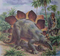 Стегозавр (изображение с сайта www.acad.carleton.edu)