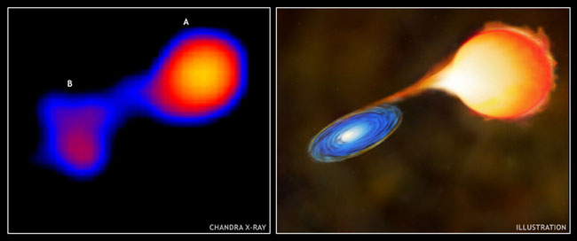 Двойная звезда Мира AB (слева — рентгеновская фотография, полученная обсерваторией Чандра, справа — иллюстрация). Хорошо виден «мост», протянувшийся между обеими звездами (изображение с сайта www.eurekalert.org)