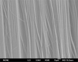 Сверхдлинные нанотрубки под электронным микроскопом. Фото с сайта www.firstnano.com